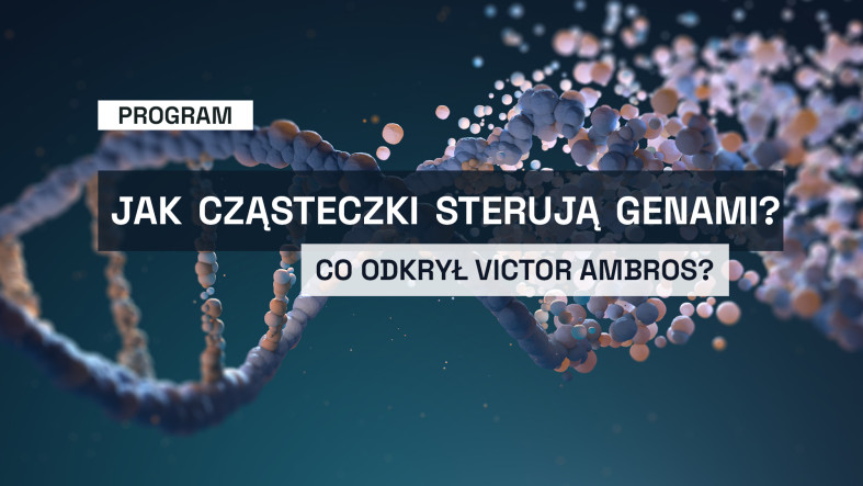 Jak małe cząsteczki sterują genami i co odkrył Victor Ambros?